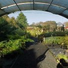 The Shade House. Cambridge Tree Trust